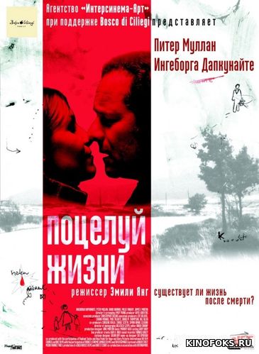 Hayot bo'sasi / hayot o'pish Uzbek tilida 2003 O'zbekcha tarjima film Full HD skachat
